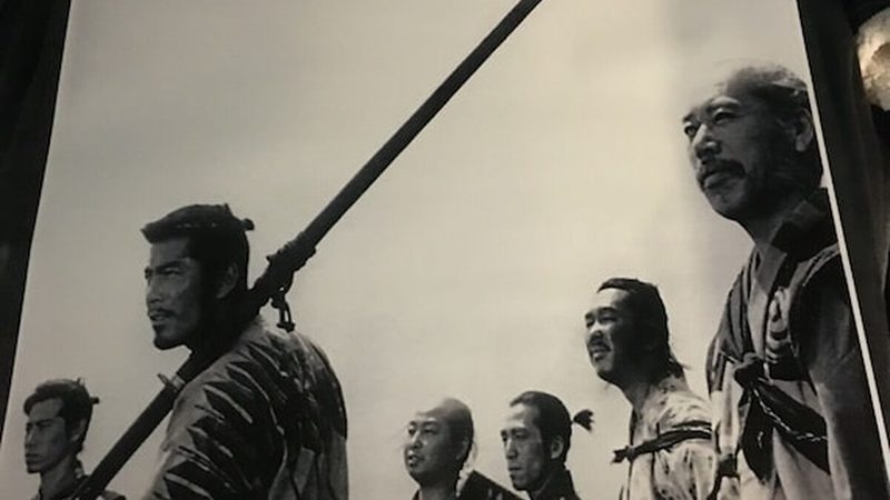 立体绿化植物墙，成本构成解析**
