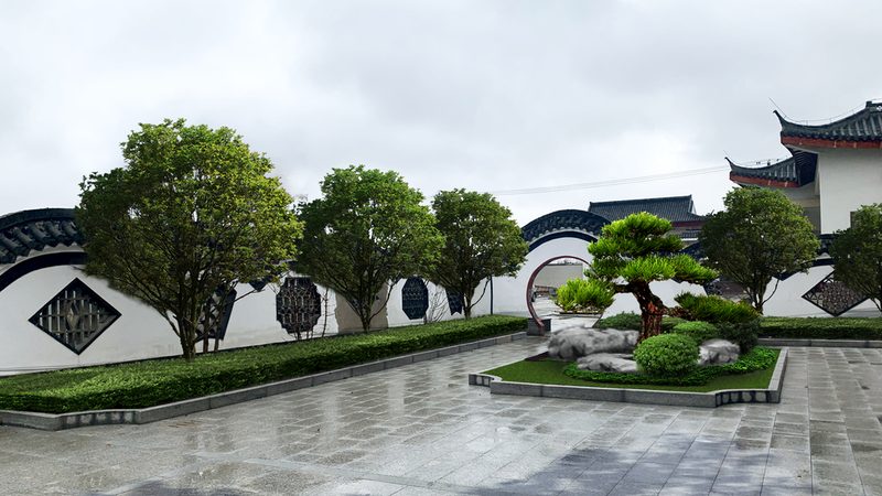 垂直绿化植物墙：打造城市绿色新景观**