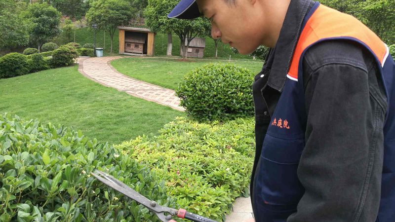 上海高端园林景观公司如何选择？关键点揭秘**