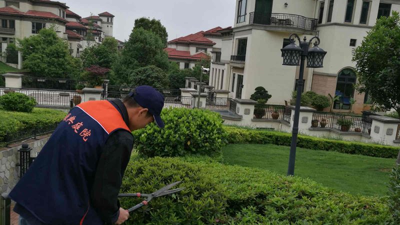 室内植物租摆，如何制定合理的报价方案？**
