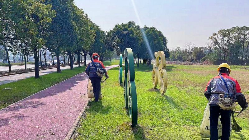办公室植物墙材质解析：选择与养护**
