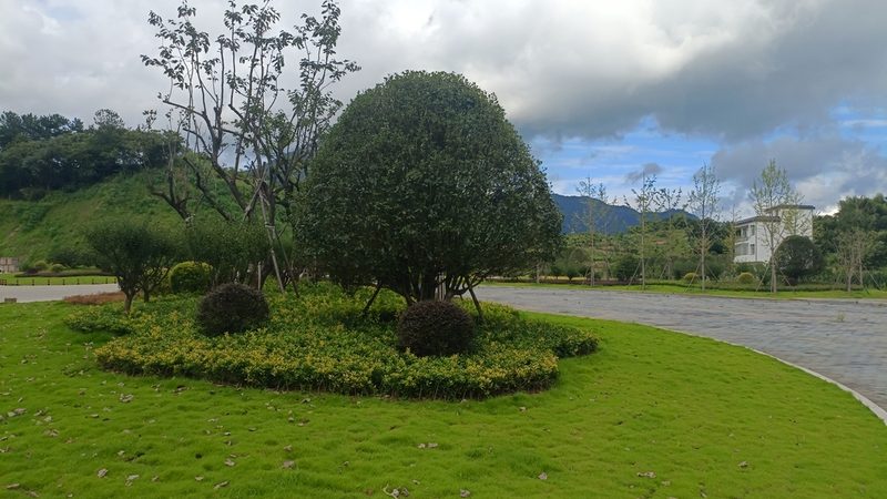 花园鱼池防水，材料选择有讲究**