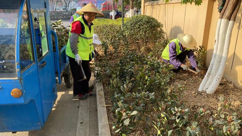 上海绿化工程验收标准：质量保障的关键环节