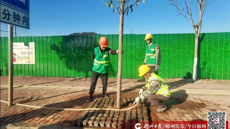 人工草坪铺设价格包含哪些项目