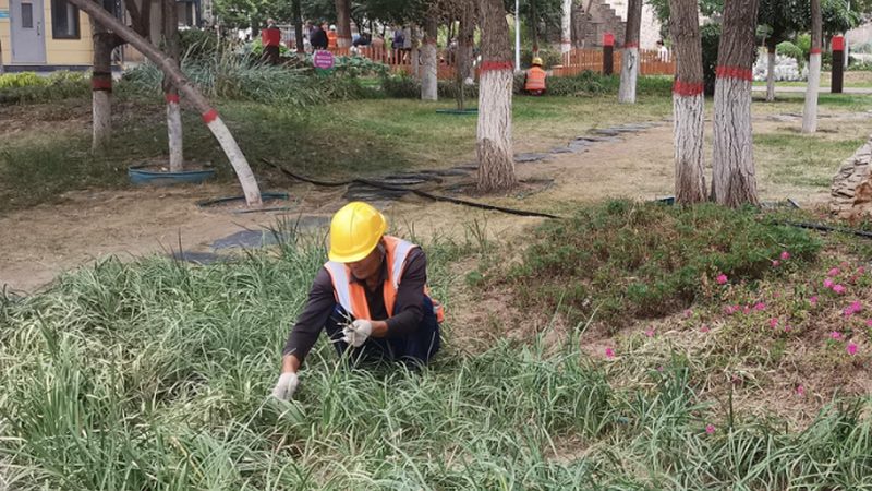 上海别墅花园设计与施工：设计与施工的差异化解析**
