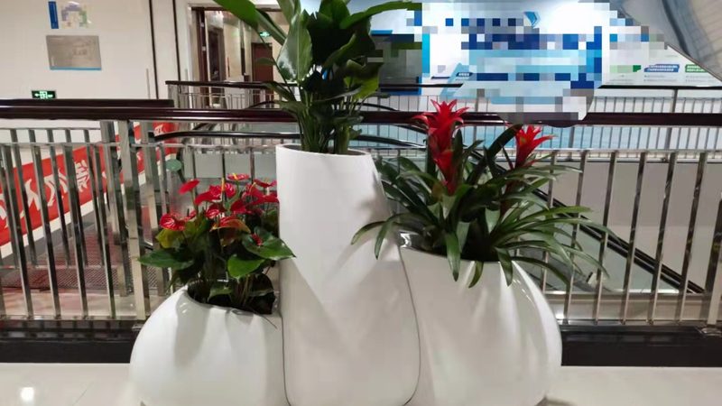 室内垂直绿化：如何打造城市绿墙，提升空间价值