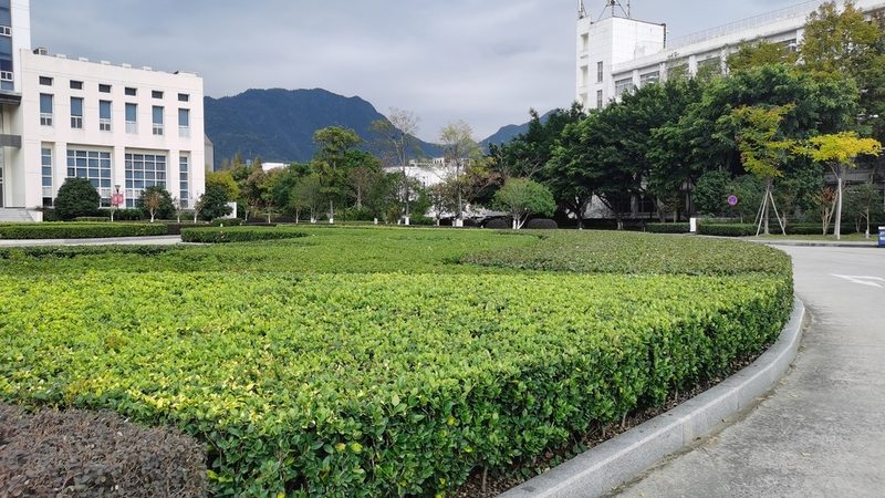 上海假山喷泉，如何挑选性价比之选？**