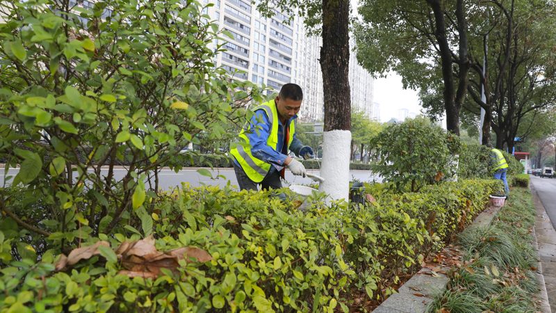 小区园林景观设计方案效果图：解读设计精髓与实施要点