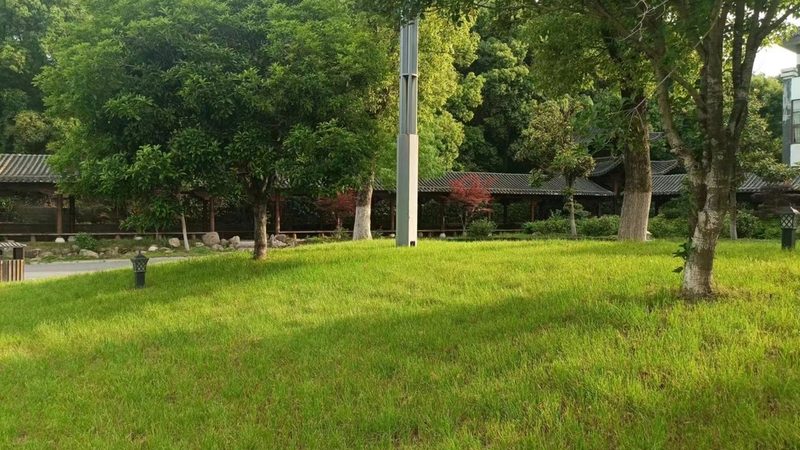 山地苗木裸根种植的五大关键技巧