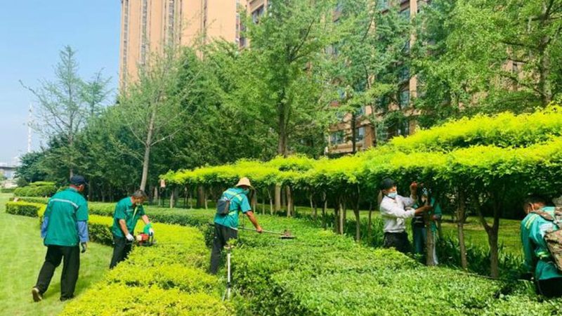 公园草坪养护合同，这五个条款最容易扯皮